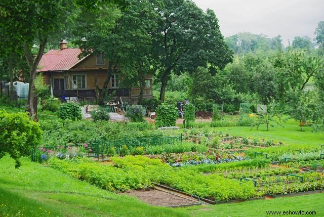 49 impresionantes ideas para paisajismo de jardín