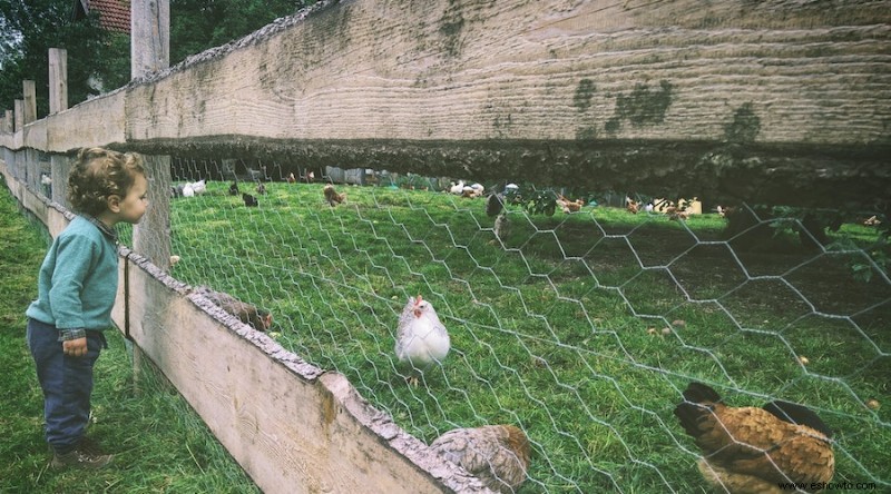 Cómo mantener a las ardillas fuera de su jardín