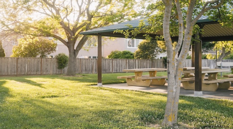 Cómo mantener a las ardillas fuera de su jardín