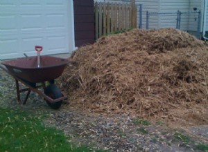 8 Métodos Naturales y Efectivos para Eliminar Malas Hierbas en tu Jardín