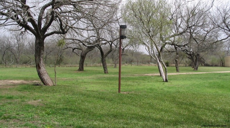 Cómo deshacerse de los mosquitos en su jardín