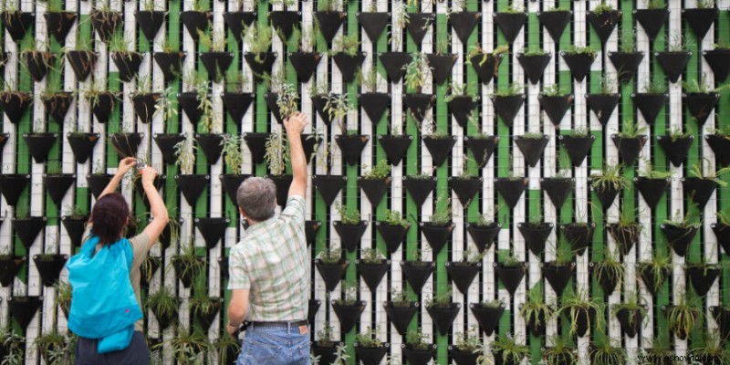 51 de las mejores ideas de jardinería vertical