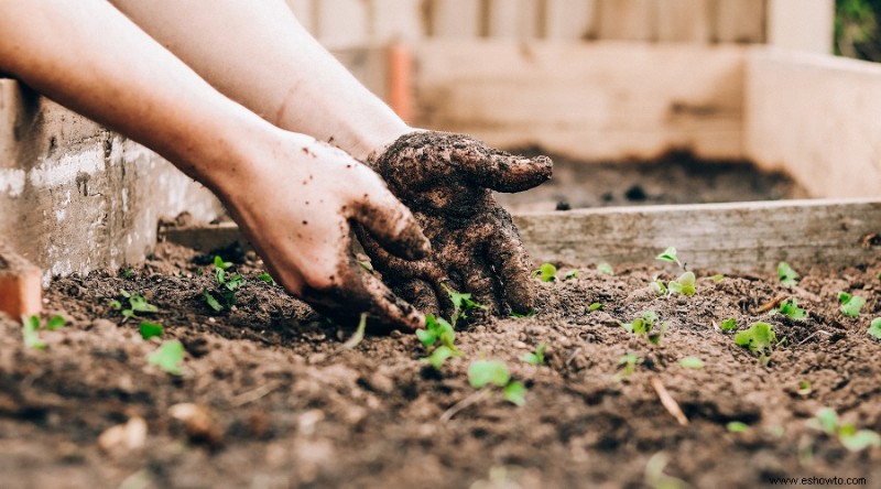 171 Citas y dichos inspiradores sobre jardinería