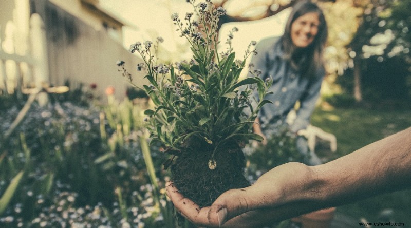 171 Citas y dichos inspiradores sobre jardinería