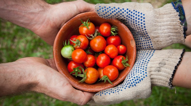 171 Citas y dichos inspiradores sobre jardinería