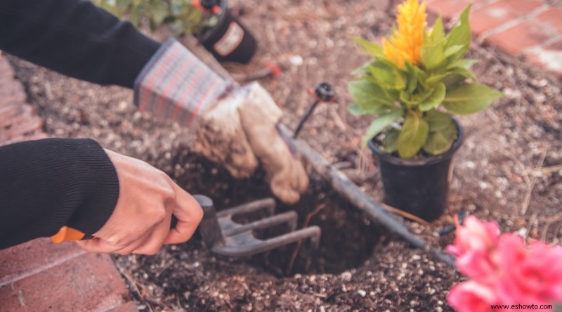 171 Citas y dichos inspiradores sobre jardinería