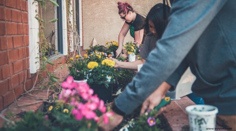 171 Citas y dichos inspiradores sobre jardinería