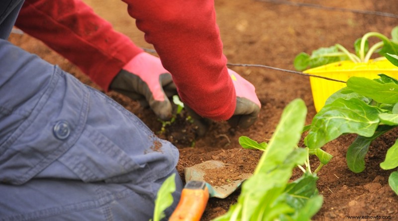 171 Citas y dichos inspiradores sobre jardinería