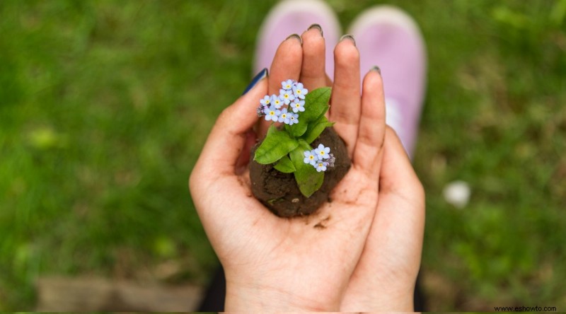 171 Citas y dichos inspiradores sobre jardinería