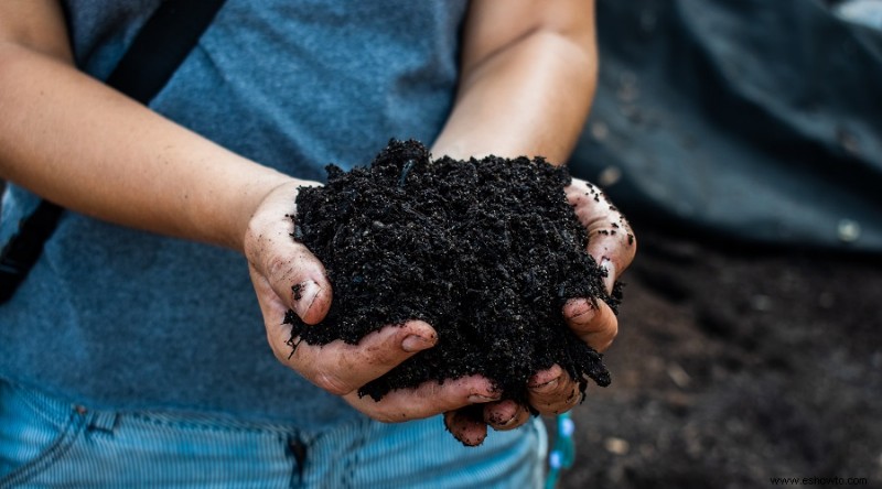 11 razones por las que el peróxido de hidrógeno es imprescindible para las plantas