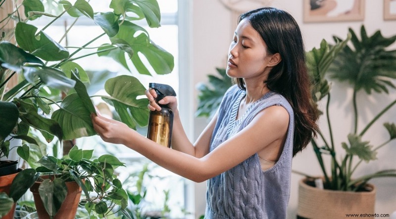 11 razones por las que el peróxido de hidrógeno es imprescindible para las plantas