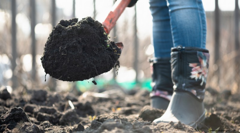 Cómo analizar la tierra de su jardín