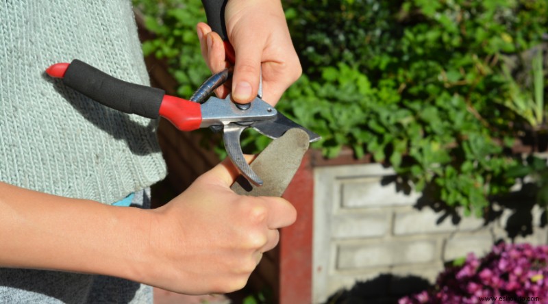 15 tareas esenciales de jardinería de primavera