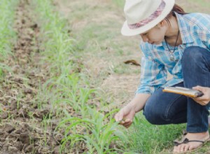15 Tareas Esenciales de Jardinería para la Primavera: Guía Experta