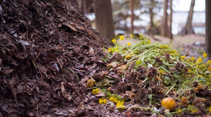 15 tareas esenciales de jardinería de primavera