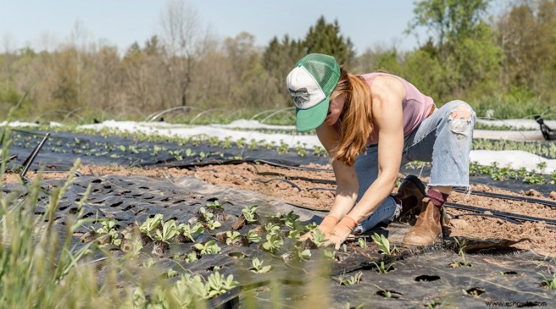 15 tareas esenciales de jardinería de primavera