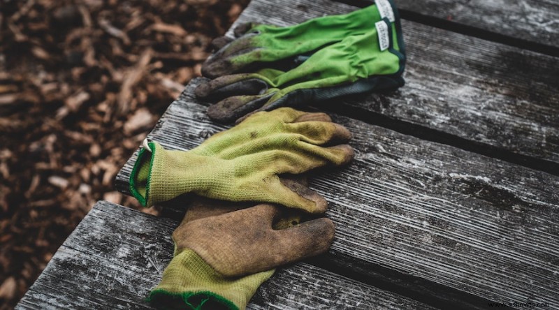 15 tareas esenciales de jardinería de primavera