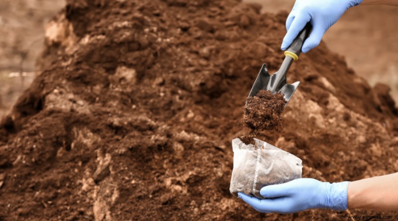 10 tareas primaverales en el jardín para completar ahora