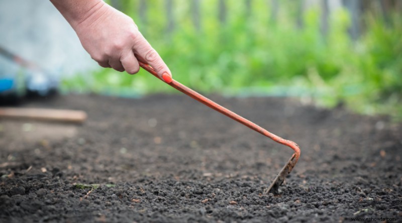 10 tareas primaverales en el jardín para completar ahora