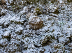 Beneficios de Aplicar Cal al Suelo: Guía Experta para un Jardín Fértil