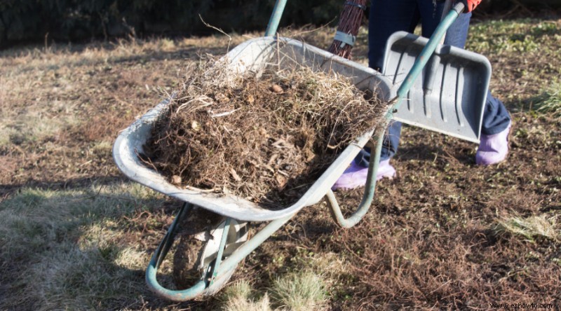 Trabajos de jardinería de primavera para poner su jardín en forma