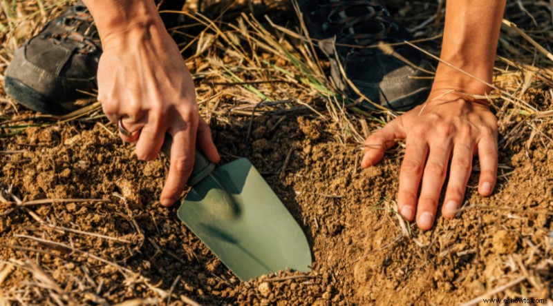 Trabajos de jardinería de primavera para poner su jardín en forma