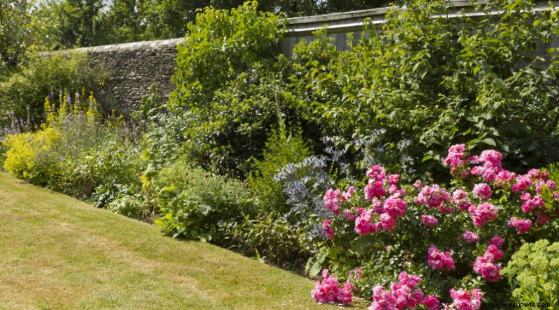 Trabajos de jardinería de primavera para poner su jardín en forma