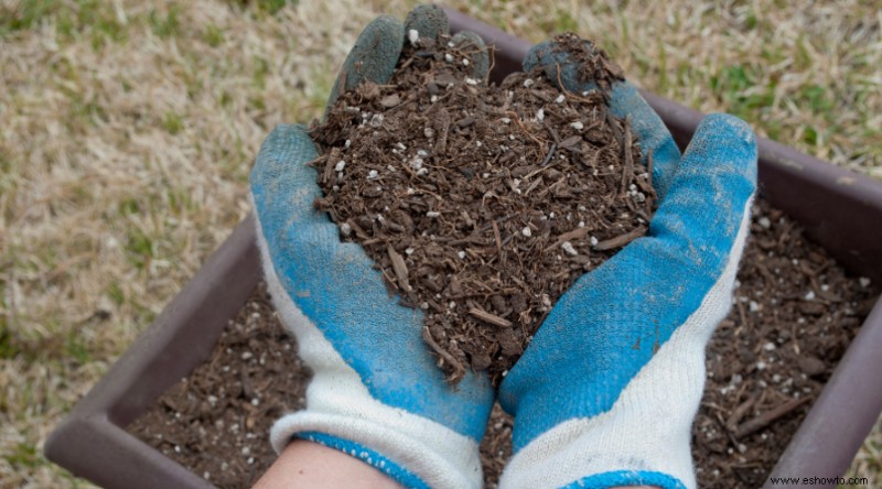 10 razones para usar tierra de diatomeas en el jardín
