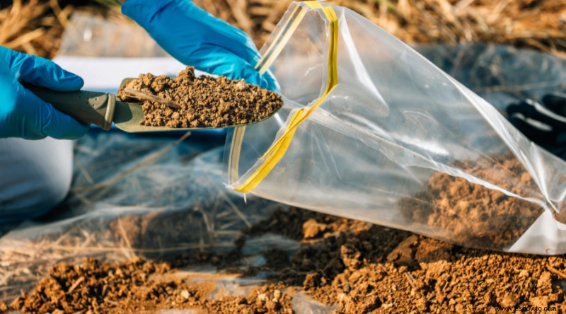 Cuándo aplicar fertilizantes a los huertos