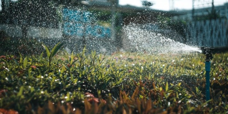 Rejuvenecer un viejo jardín desde el suelo hacia arriba