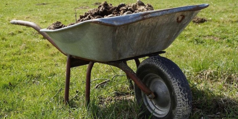 Rejuvenecer un viejo jardín desde el suelo hacia arriba