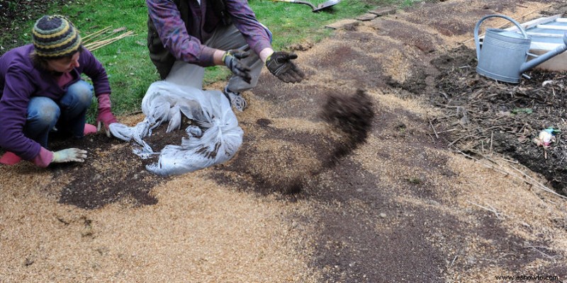 Rejuvenecer un viejo jardín desde el suelo hacia arriba