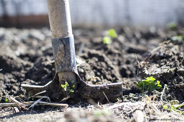 Cómo la jardinería sin excavar puede reparar el suelo