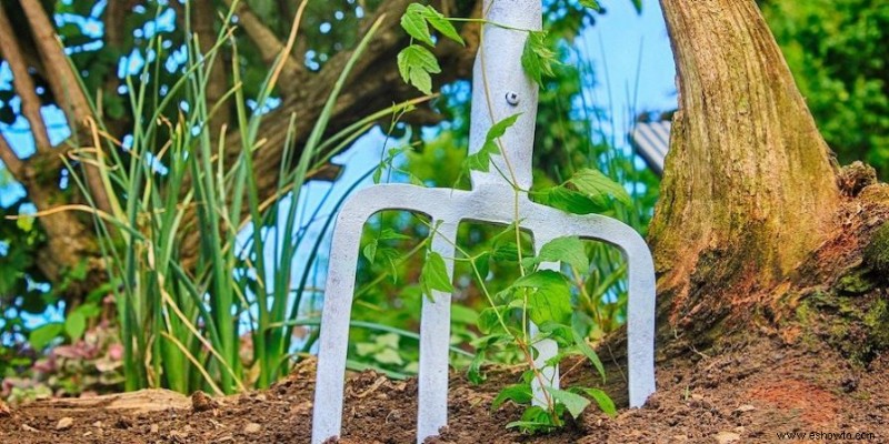 Qué es la jardinería sin labranza