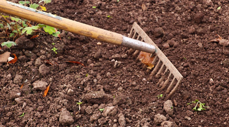 7 errores de deshierbe que dificultan la jardinería