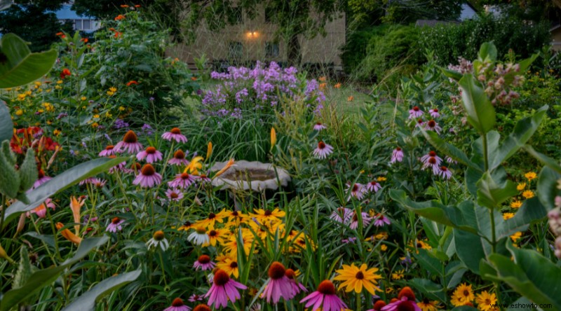 Cuándo plantar semillas de flores silvestres para un colorido jardín natural