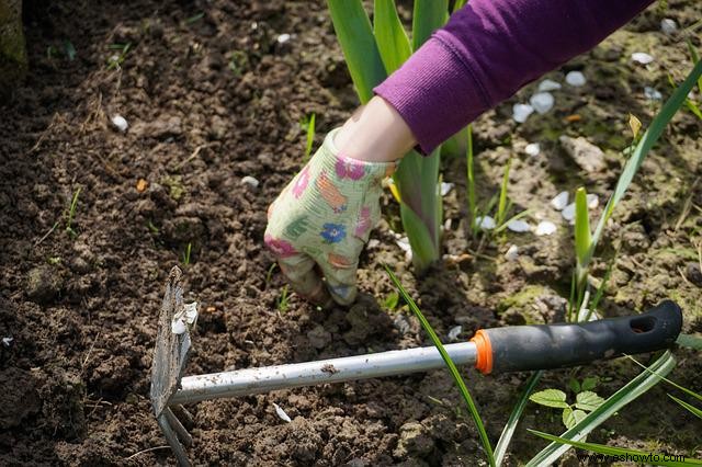 Cómo mejorar la tierra arcillosa en su patio o jardín