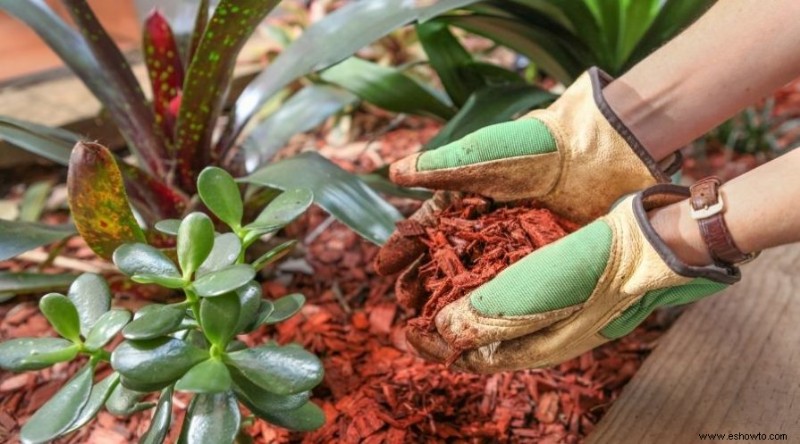 Cómo mejorar la tierra arcillosa en su patio o jardín