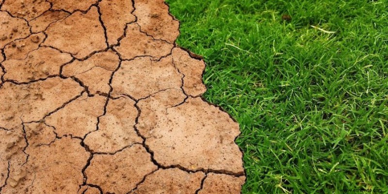 Tierra buena frente a tierra mala:cómo saber la diferencia