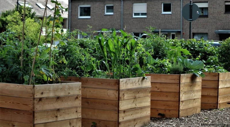 Errores comunes en los jardines elevados que podría estar cometiendo