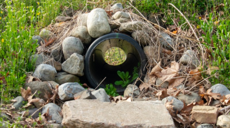 6 soluciones para el drenaje deficiente en su jardín