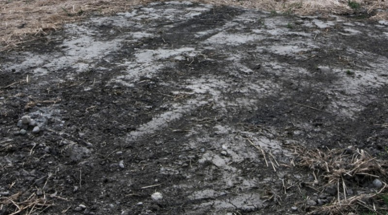 Cómo arreglar la tierra compactada en su jardín