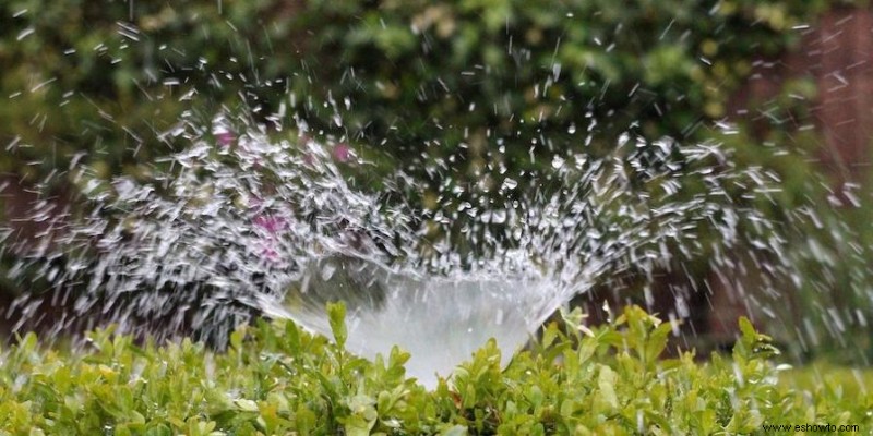 Cómo arreglar la tierra compactada en su jardín