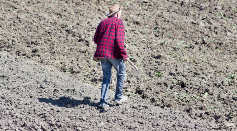 Cómo arreglar la tierra compactada en su jardín