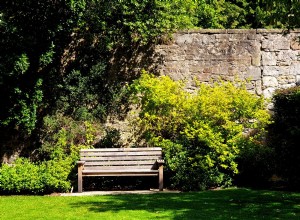 Guía paso a paso: Cómo trasplantar plántulas a tu jardín con éxito