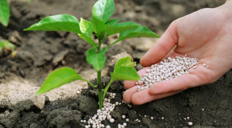 Las mejores enmiendas y nutrientes para el suelo