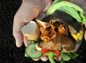 Guía paso a paso para limpiar tu contenedor de compostaje de manera efectiva