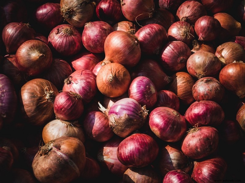 13 de las mejores y peores plantas complementarias para el repollo