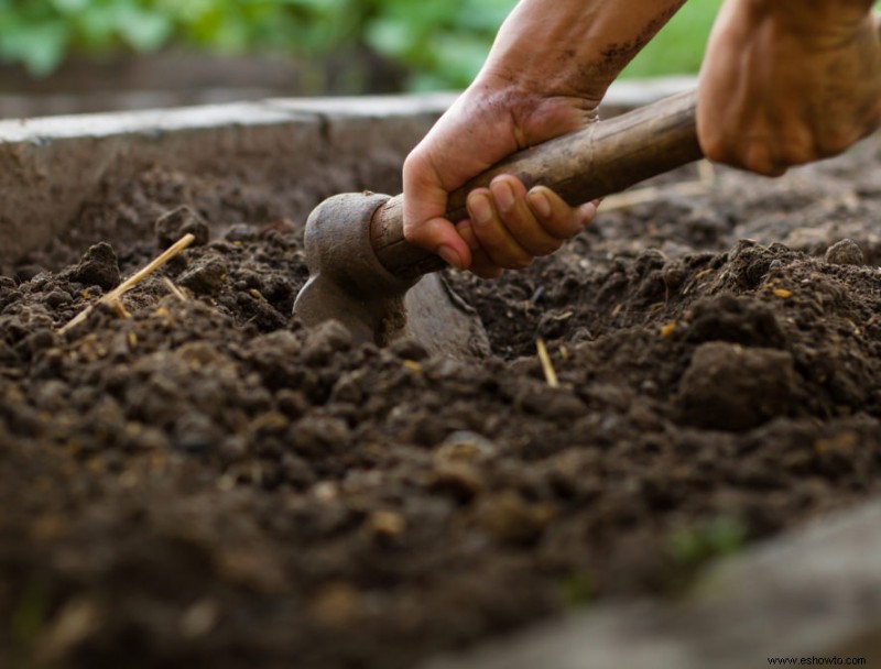 9 maneras en que la tierra ácida afecta a sus plantas