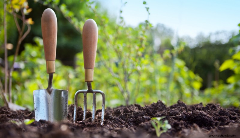 Evite estos errores comunes en los jardines perennes
